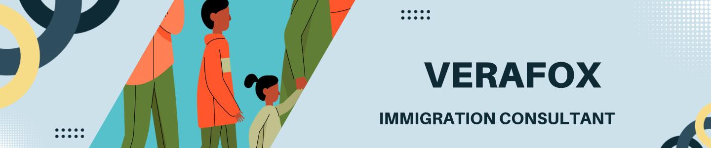 Immigration consultant