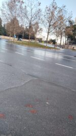 Luxury Apartment - Image 2